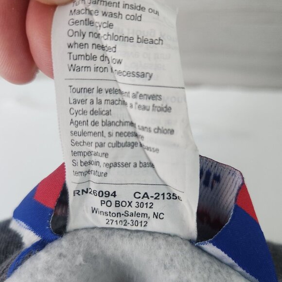 Champion Gray V-Neck Thick Sweatshirt Purple Sleeve Stripes Size XL Vintage 90s - Picture 7 of 14